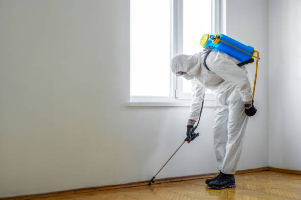 Best Pest Control Treatment  in Madison Heights, MI
