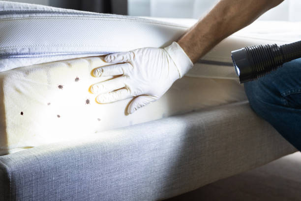 Best Pest Prevention Services  in Madison Heights, MI