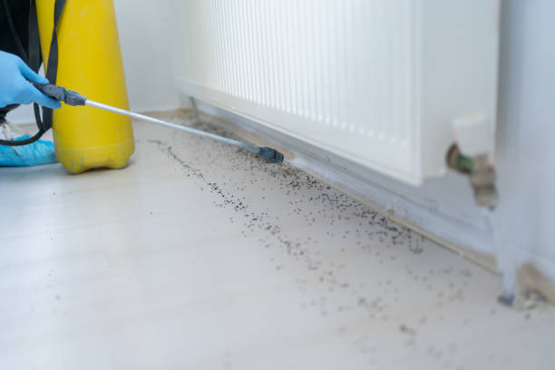 Best Pest Control for Restaurants  in Madison Heights, MI