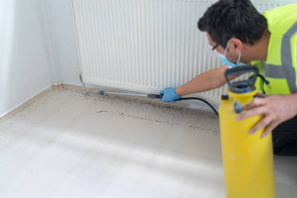 Best Commercial Pest Control Services  in Madison Heights, MI