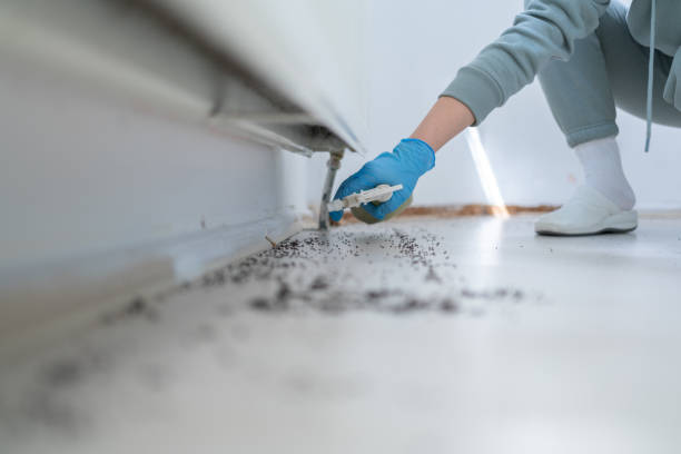 Pest Control for Restaurants in Madison Heights, MI